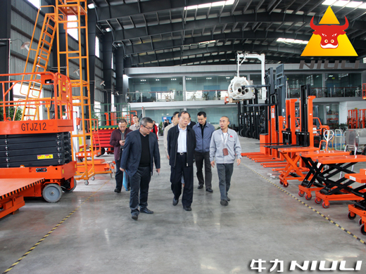 廣東省經(jīng)信委副主任林位超等領導到牛力參觀考察